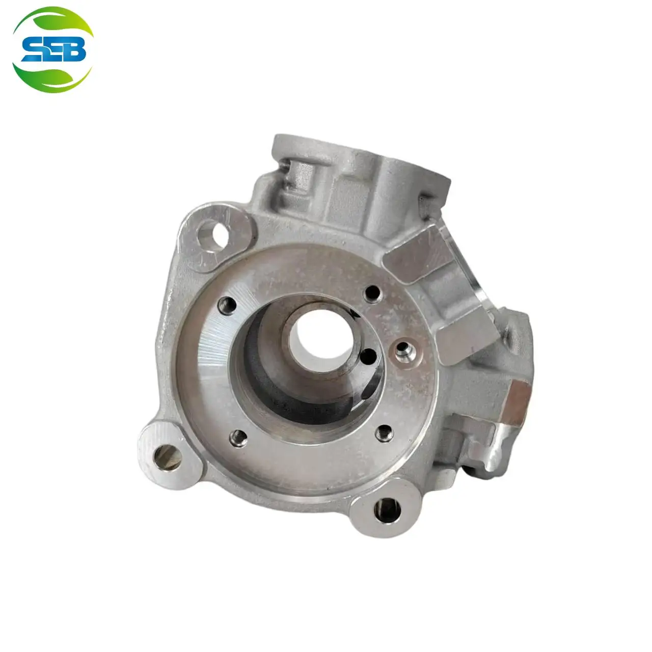 SUERBO 0445020609 CP4 Diesel Pump Body Replacement