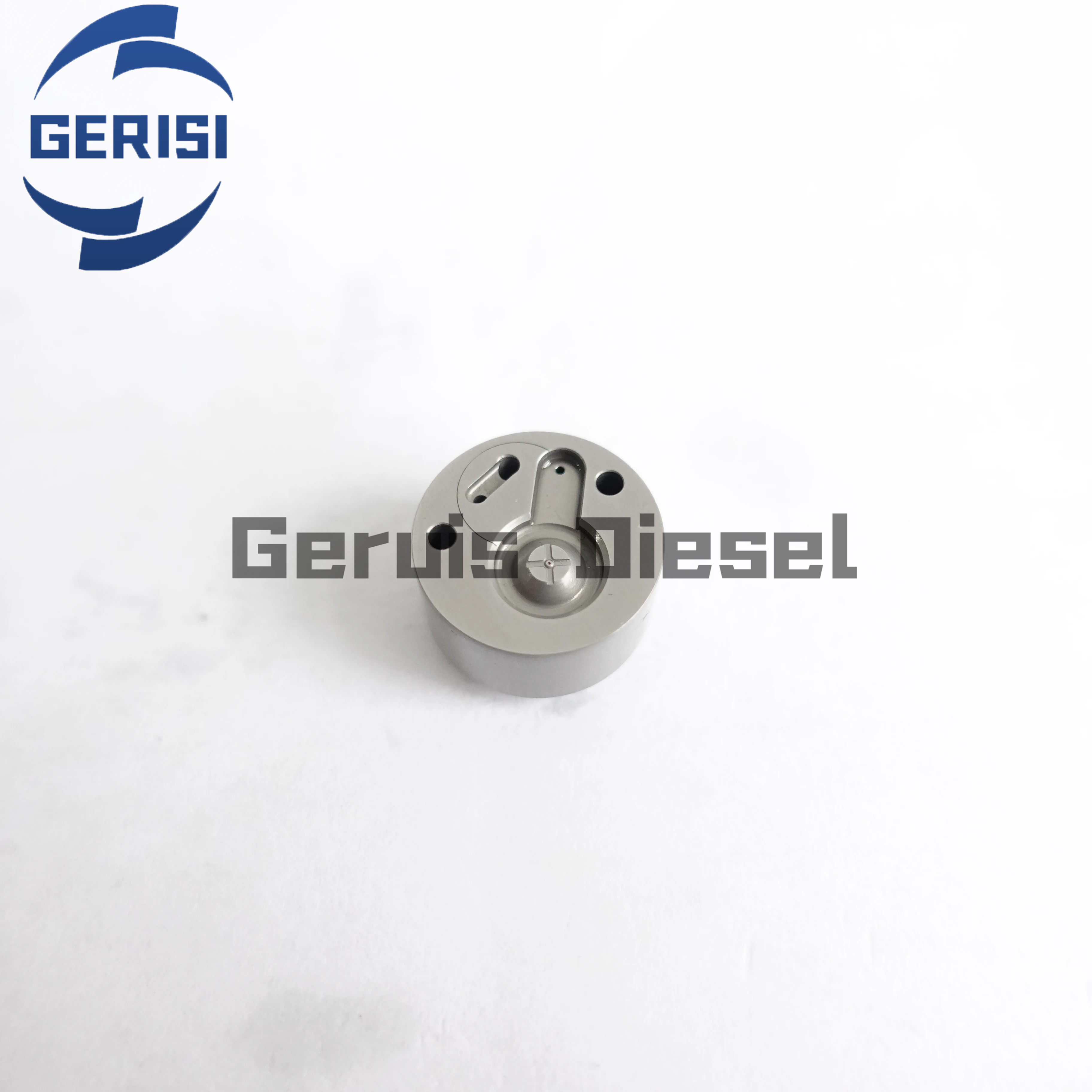 Baiyuan G10 Common Rail Valve Plate 295700-0210 0400 S550 S560