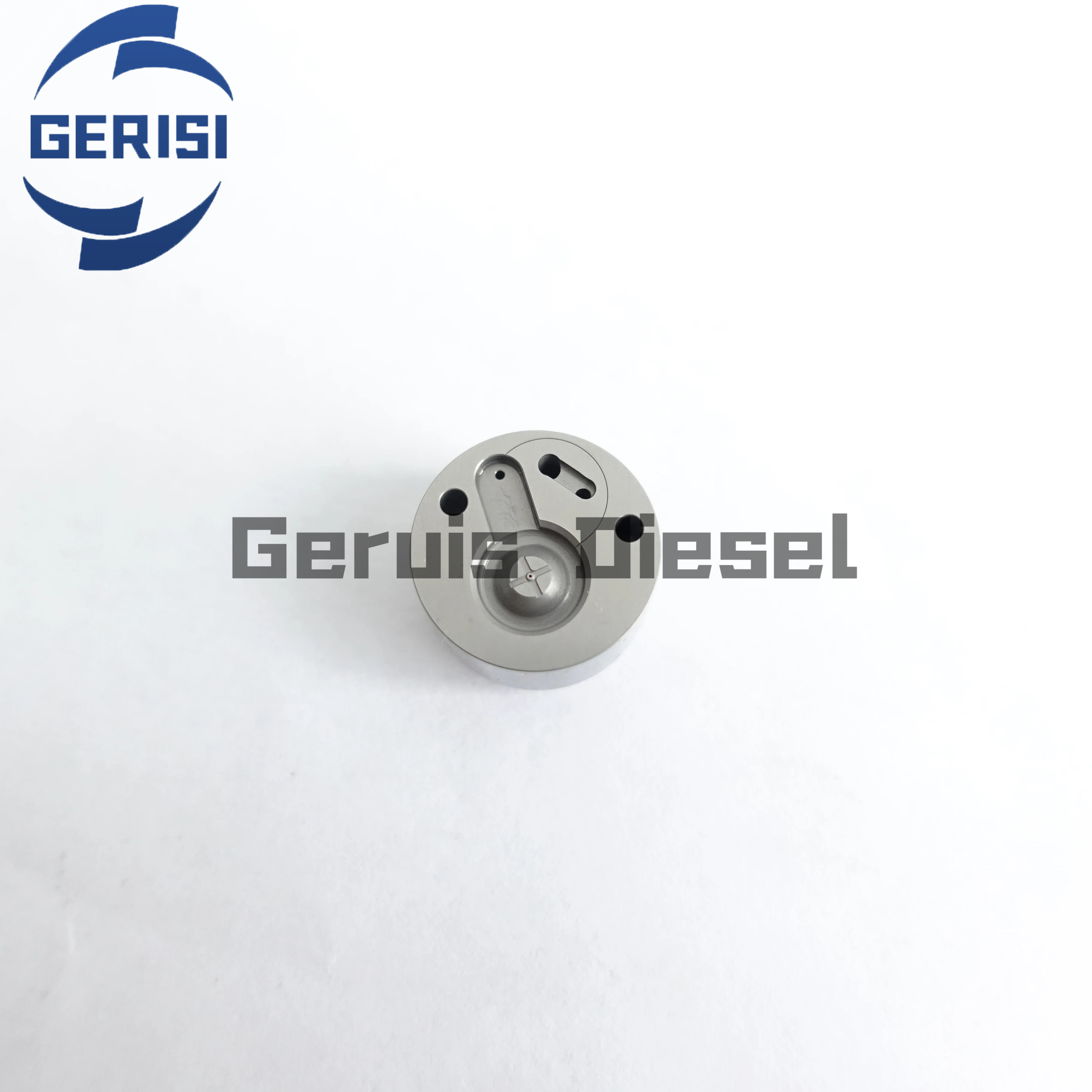 Baiyuan G18 Common Rail Valve Plate 295700-0030 RE549641