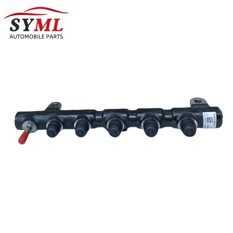 1100200XED95 Common Rail Pipe Truck Engine Parts